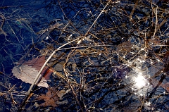 Reflections 2